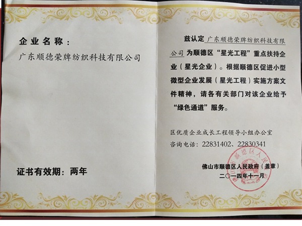 YY易游m6米乐荣获政府重点扶持企业